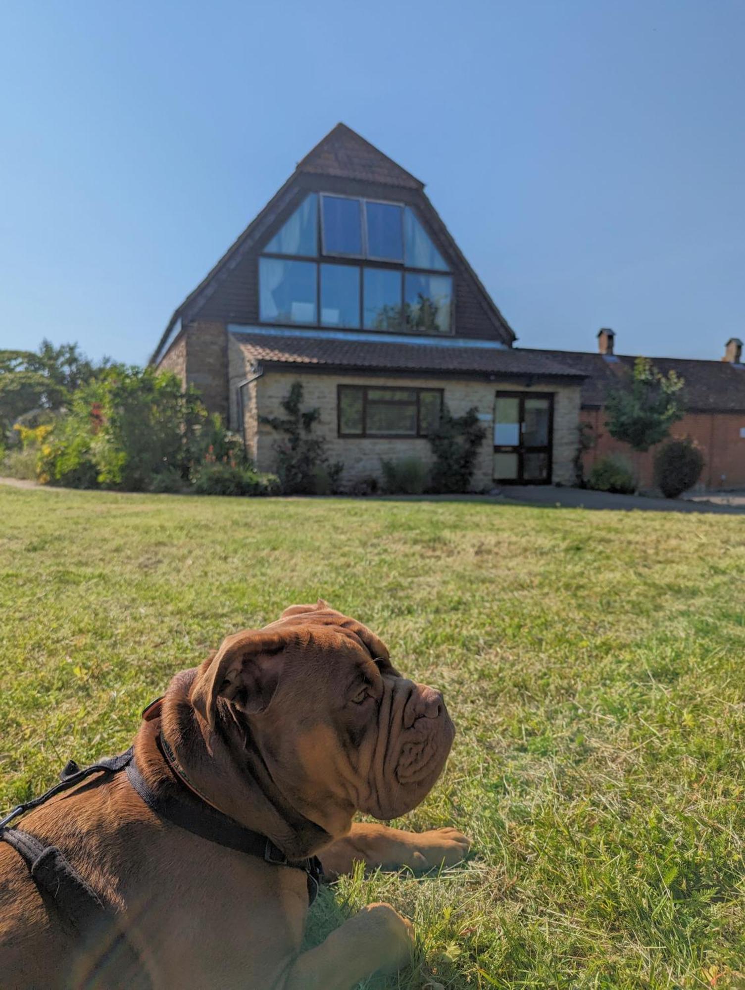 أبينغدون Kingfisher Barn B&B المظهر الخارجي الصورة
